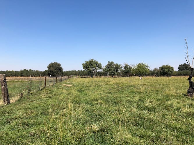 EDS Engineering & Land Surveying