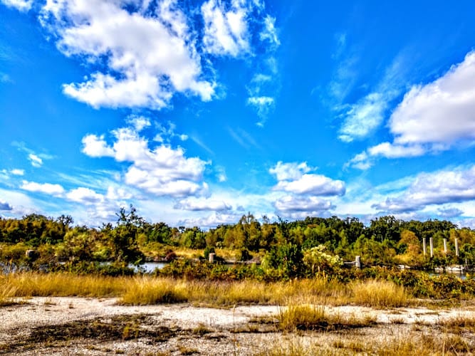 Environmental Consulting & Remediation Contractor - Balance Consulting