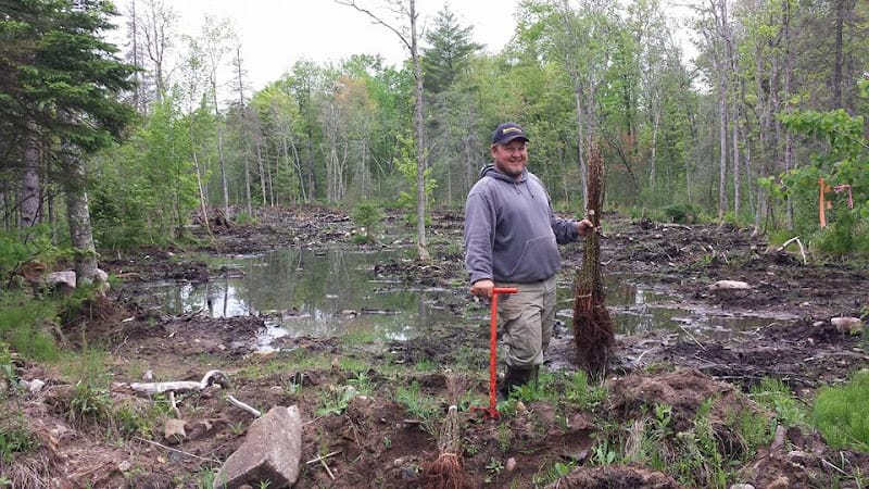 Evergreen Consultants