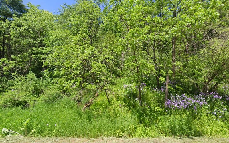 Full Circle Engineering & Surveying LLC