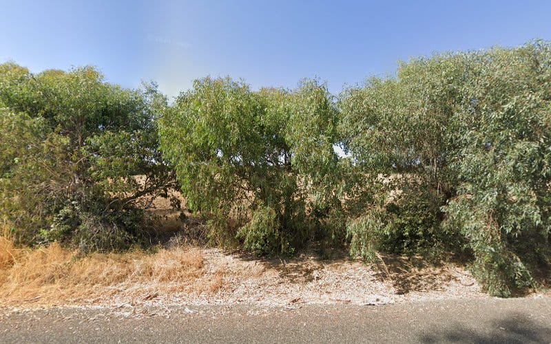 Haver's Survey Stakes