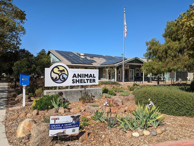 Ifland Engineers Inc