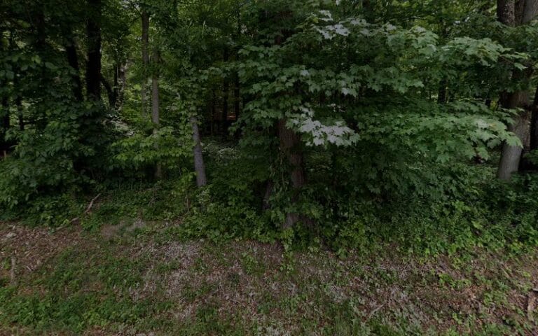 John M Johanyak & Associates