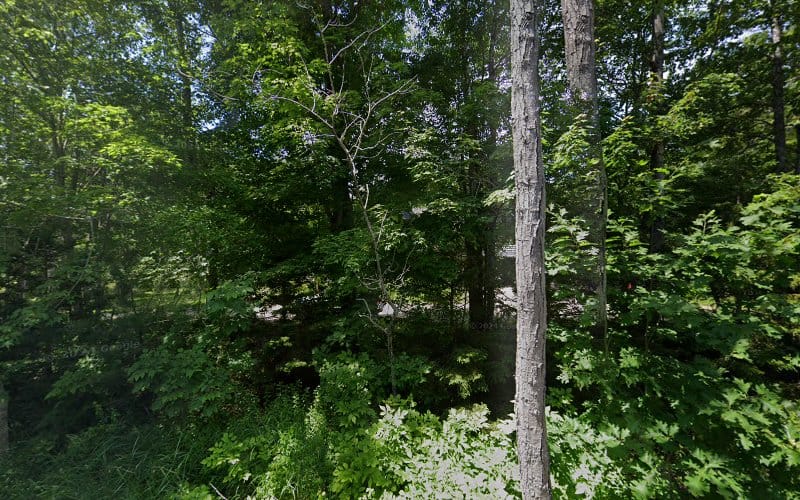 Land Surveyor & Civil Engineer