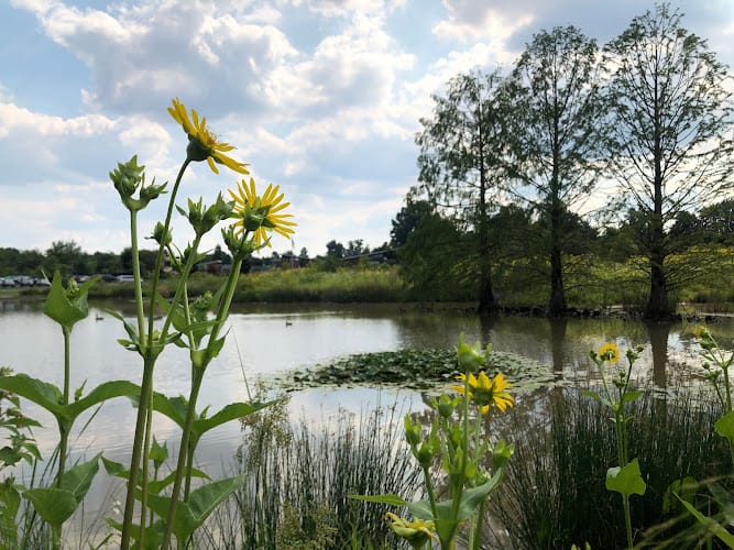 MAD Scientist Associates