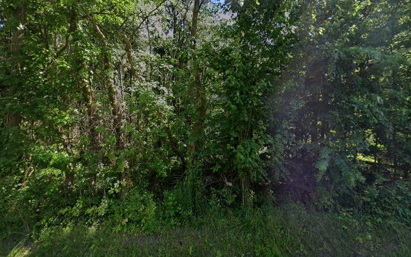 Mc Laughlin & Associates