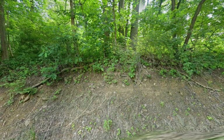 Mohney WD & Associates