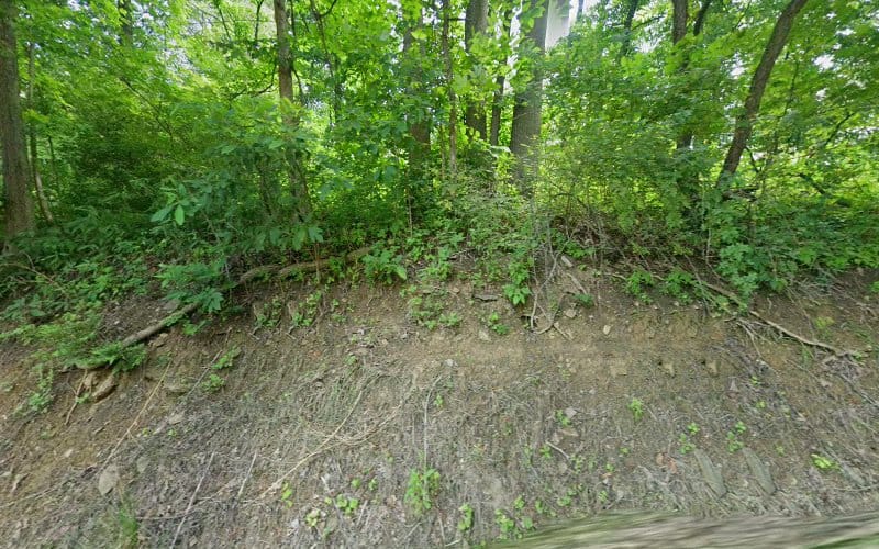 Mohney WD & Associates