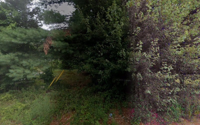 Moran Surveying Inc.