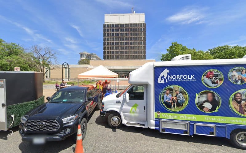 Norfolk City Surveys