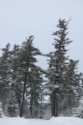 North Shore Land Surveying - Brett Land Surveying