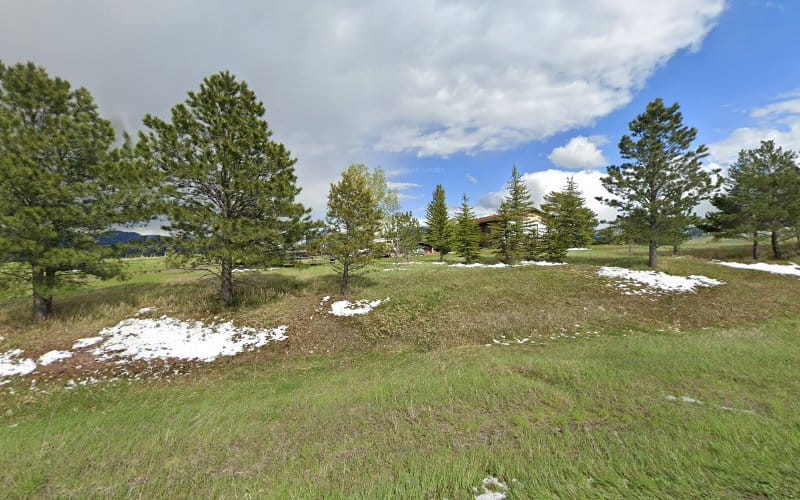 Palmer Surveying & Mapping