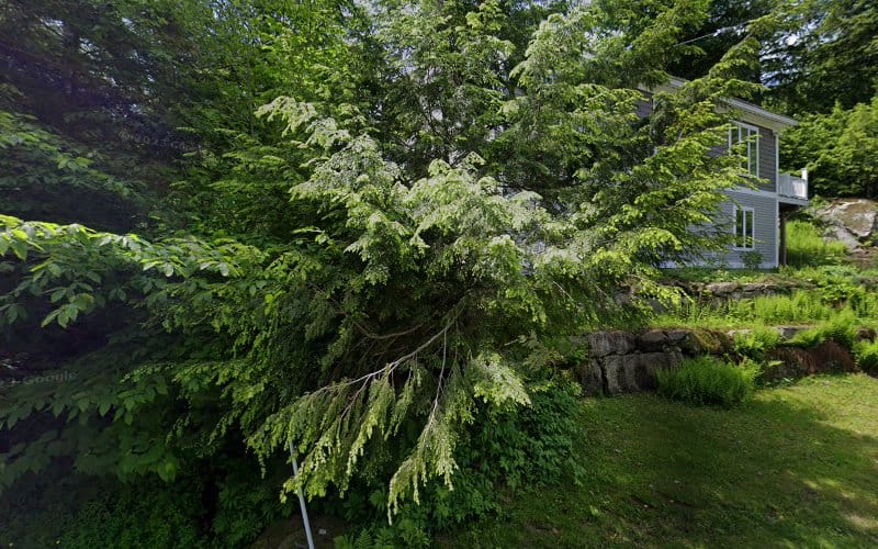 Pierre J Bedard & Associates PC