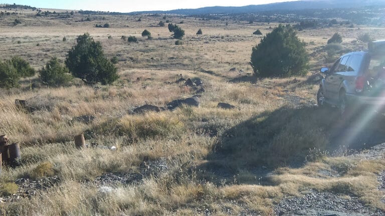 Precision Land Surveyors NM LLC