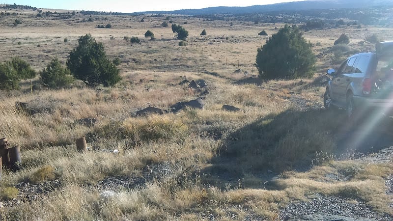 Precision Land Surveyors NM LLC