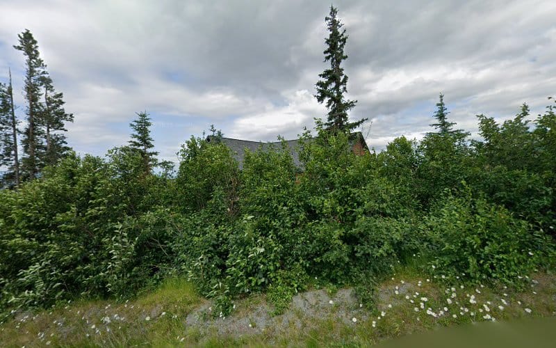 Premier Construction Surveys