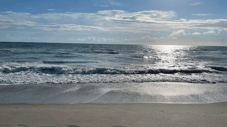 Prestige Marine Survey