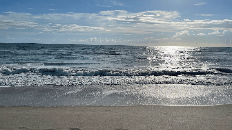 Prestige Marine Survey