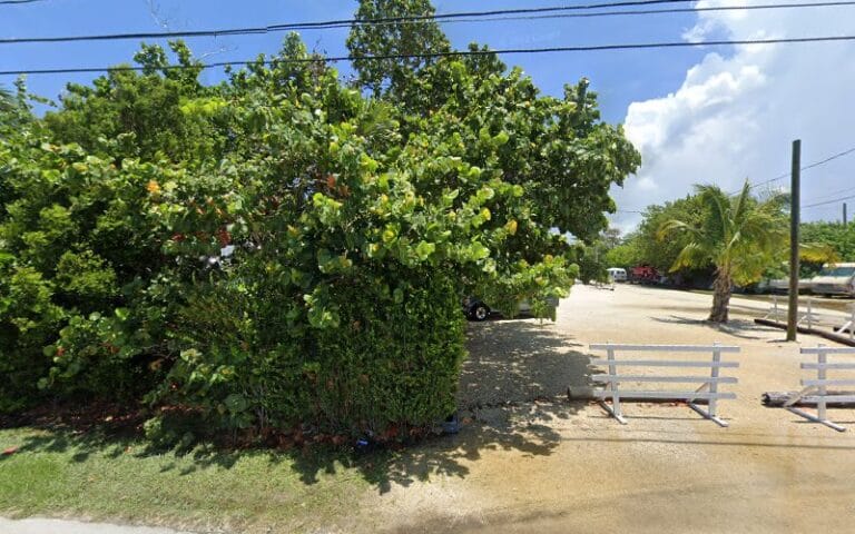 Reece & White Land Surveying