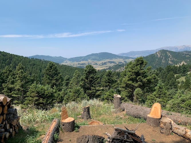 Ries & Associates (Ries Surveying)