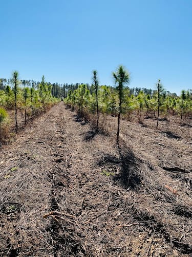 Sloan's Property & Land Management