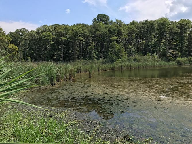 Stokes Environmental Associates Ltd