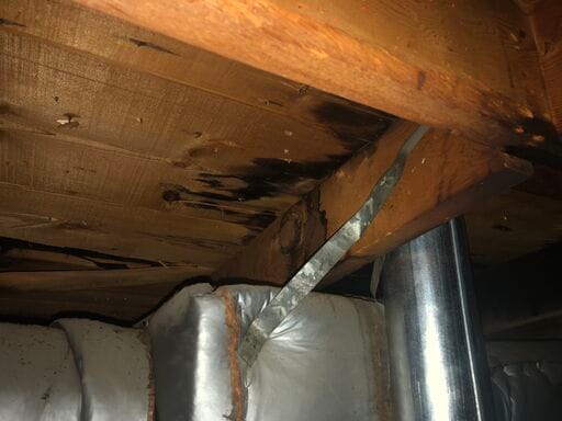 Thomas Engineering Consultants