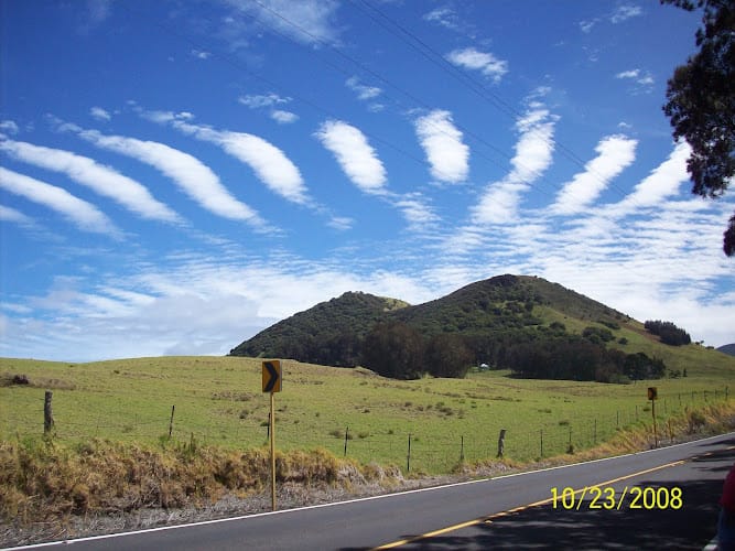 Wes Thomas & Associates Inc