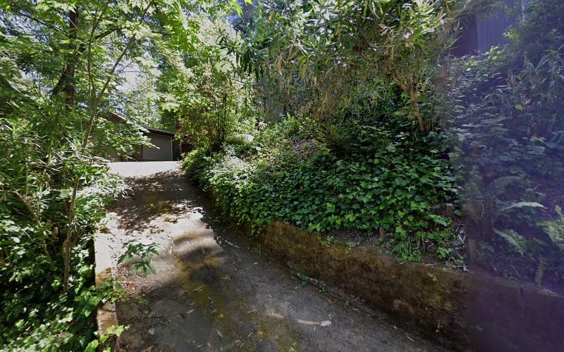 michael bender surveyors