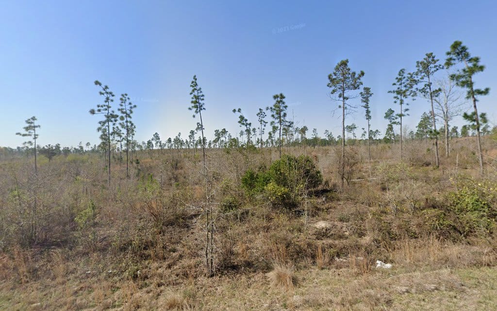 Sage Mill Bird Nest Survey Station 5