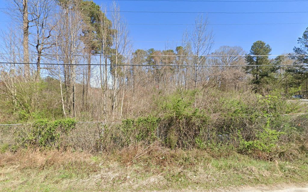 Chief Environmental Surveys