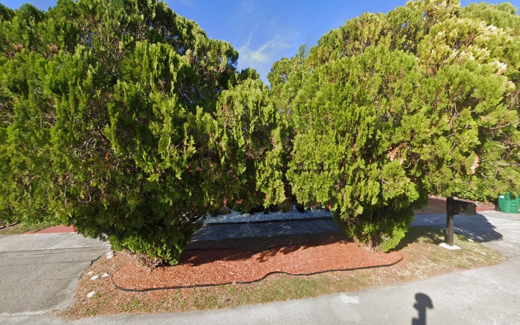 Vizcaya Land Surveyor Inc