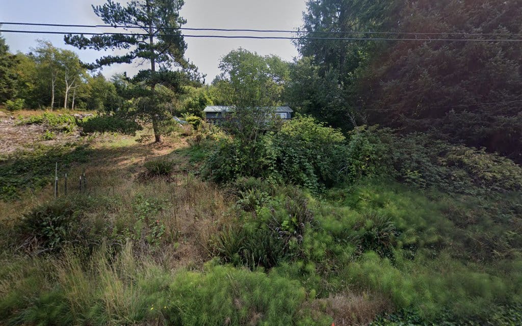 Wyntergreen Survey Company