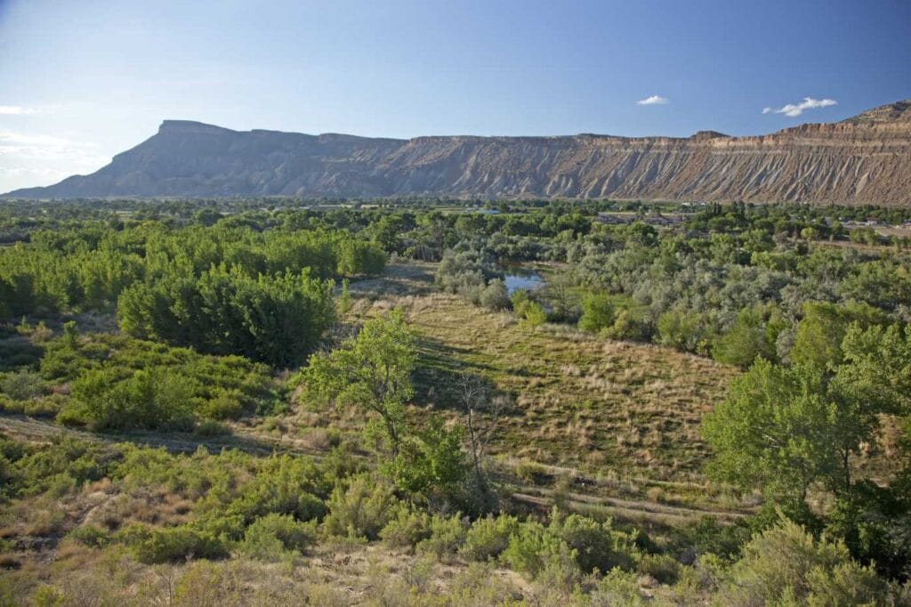 Land Easement Types Explained