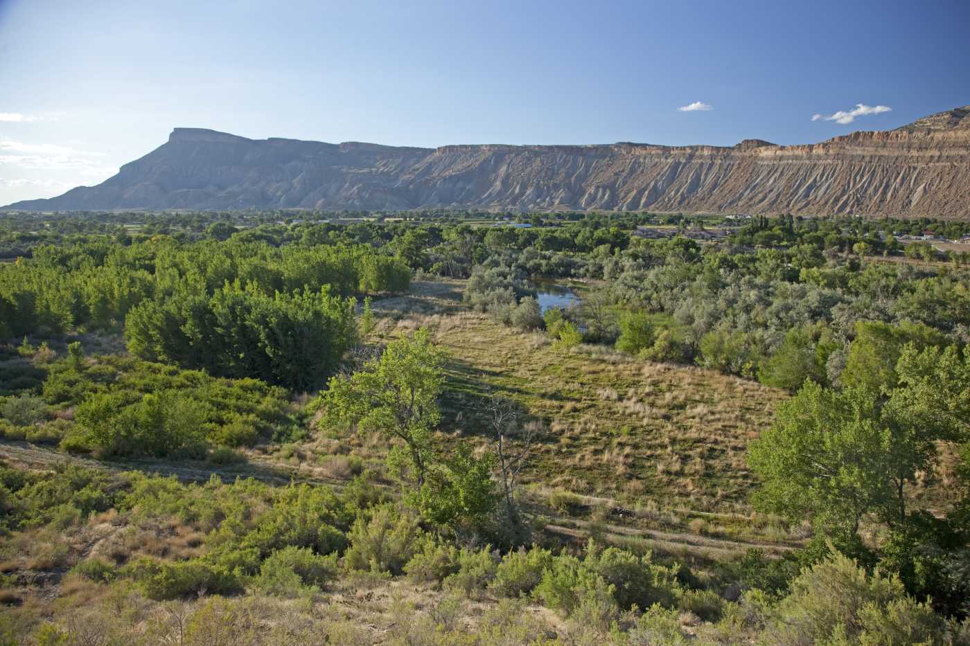 Land Easement Types Explained